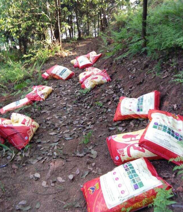 石城山工区施底肥，，，，，，，苗木修剪及栽植.png